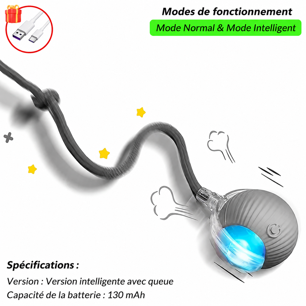 🐾 Balle Intelligente Interactive pour Chat – Rechargeable USB