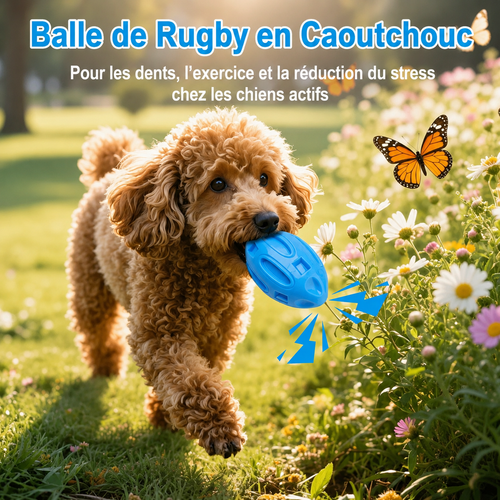 Balle de Mastication Indestructible pour Chien