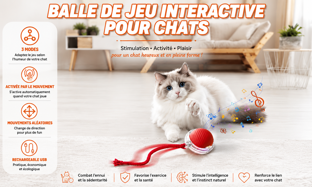🐾 Balle Intelligente Interactive pour Chat – Rechargeable USB