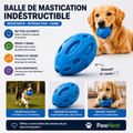 Balle de Mastication Indestructible pour Chien