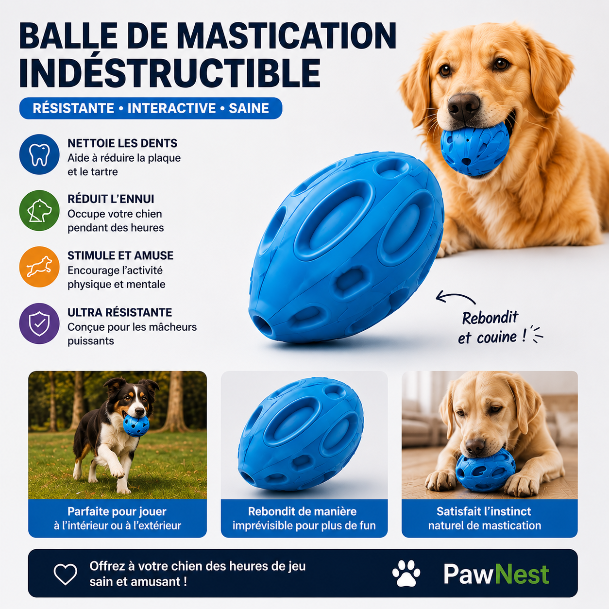 Balle de Mastication Indestructible pour Chien