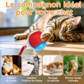 🐾 Balle Intelligente Interactive pour Chat – Rechargeable USB
