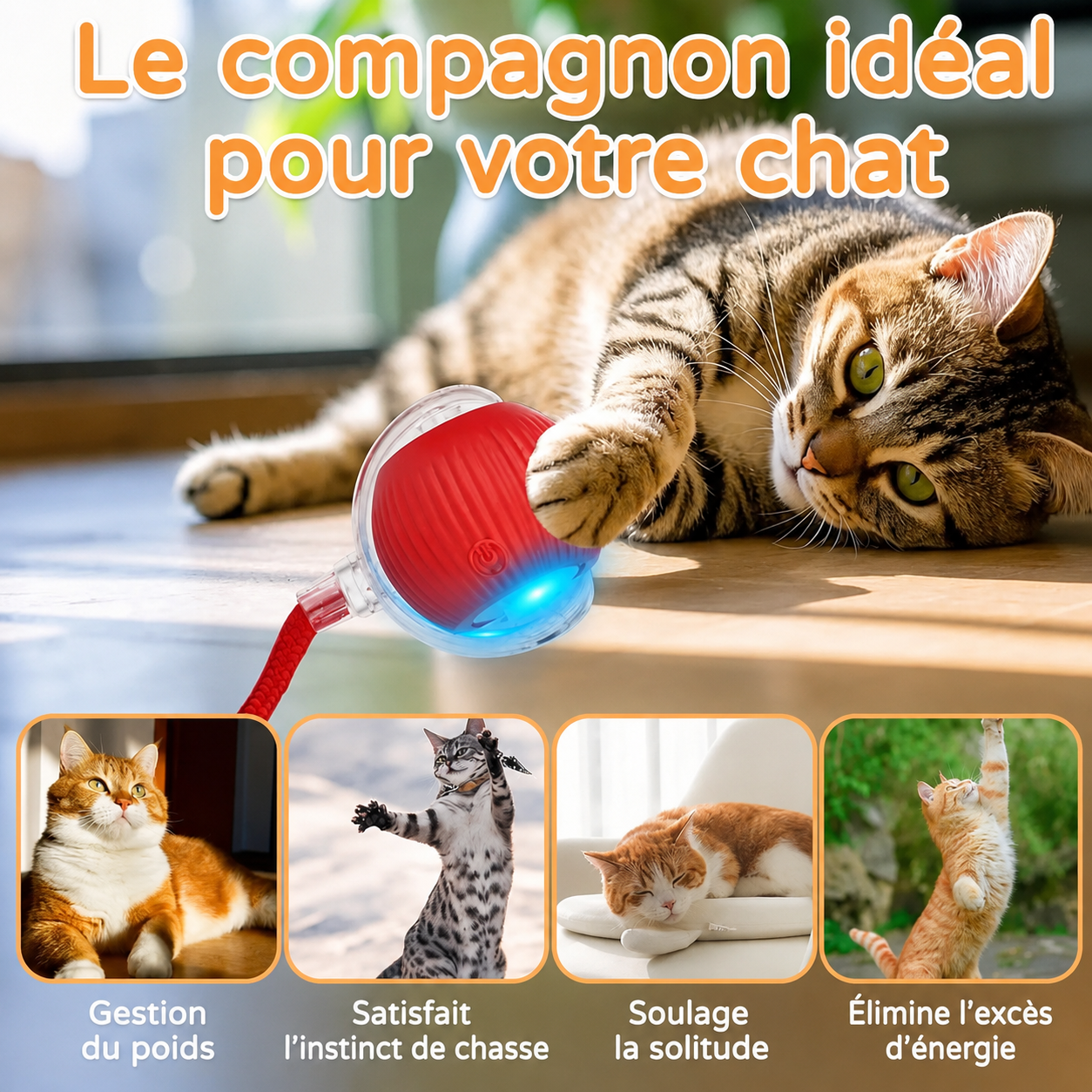 🐾 Balle Intelligente Interactive pour Chat – Rechargeable USB