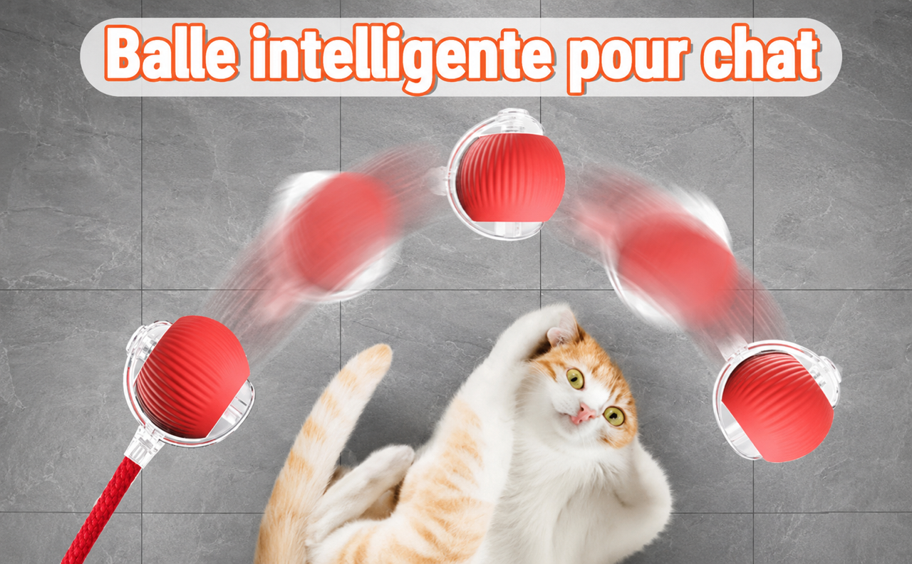 🐾 Balle Intelligente Interactive pour Chat – Rechargeable USB