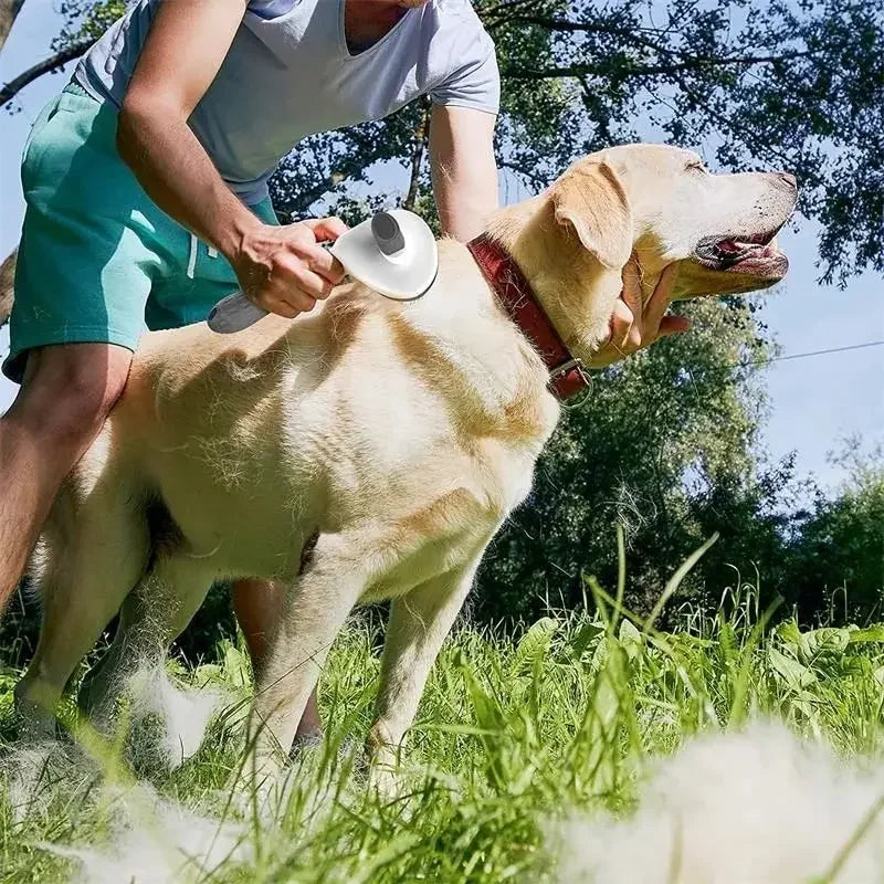 Brosse Autonettoyante Premium Pawnest™ – Élimination rapide des poils pour chats et chiens